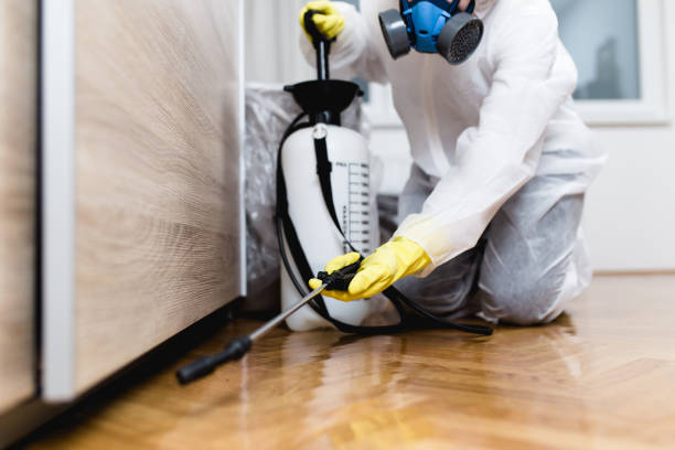 Trusted Paradise, NV Pest Control Experts