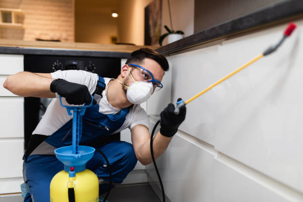Best Pest Removal Services  in Paradise, NV