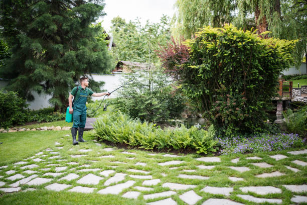 Best Mosquito Control Services  in Paradise, NV