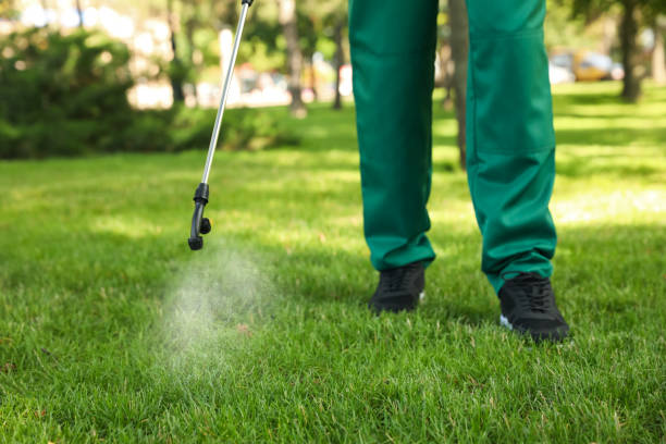 Best Pest Control for Businesses  in Paradise, NV