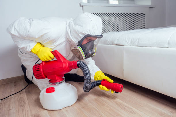 Trusted Paradise, NV Pest Control Experts