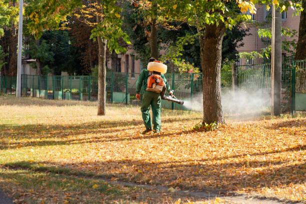 Best Commercial Pest Control Services  in Paradise, NV
