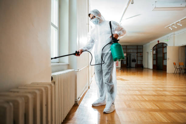 Best Flea Control Services  in Paradise, NV